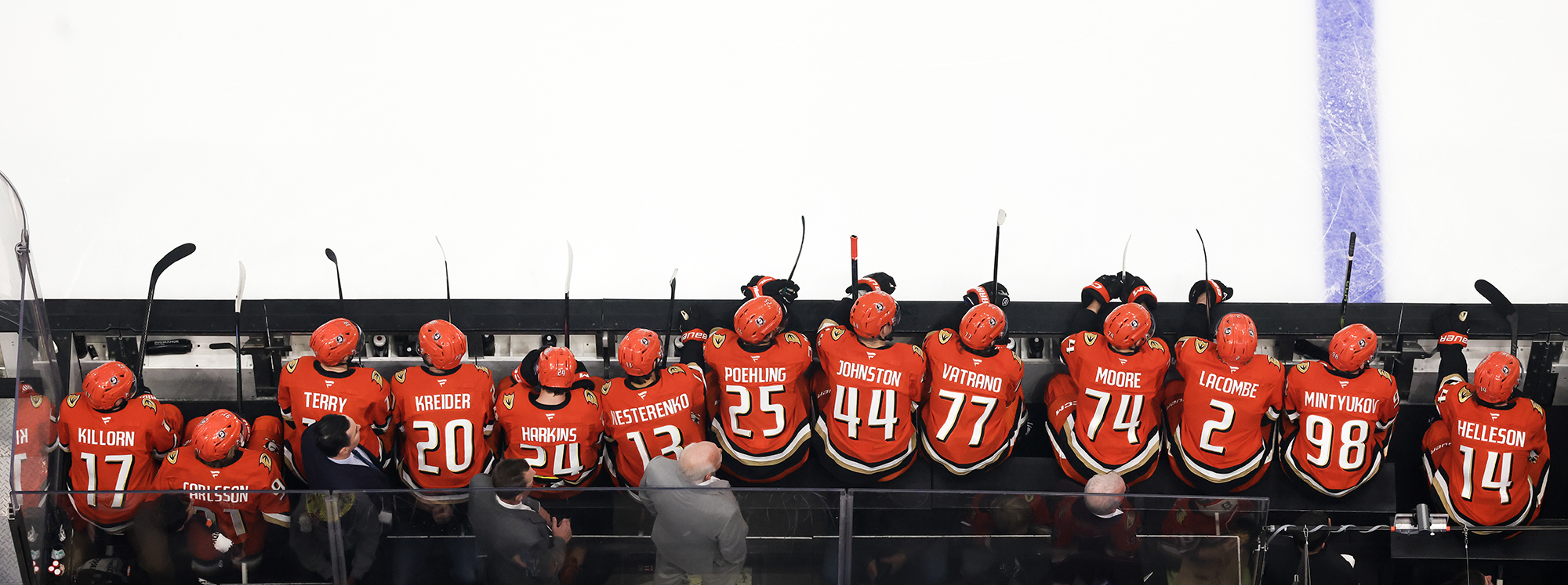 Ducks on home bench
