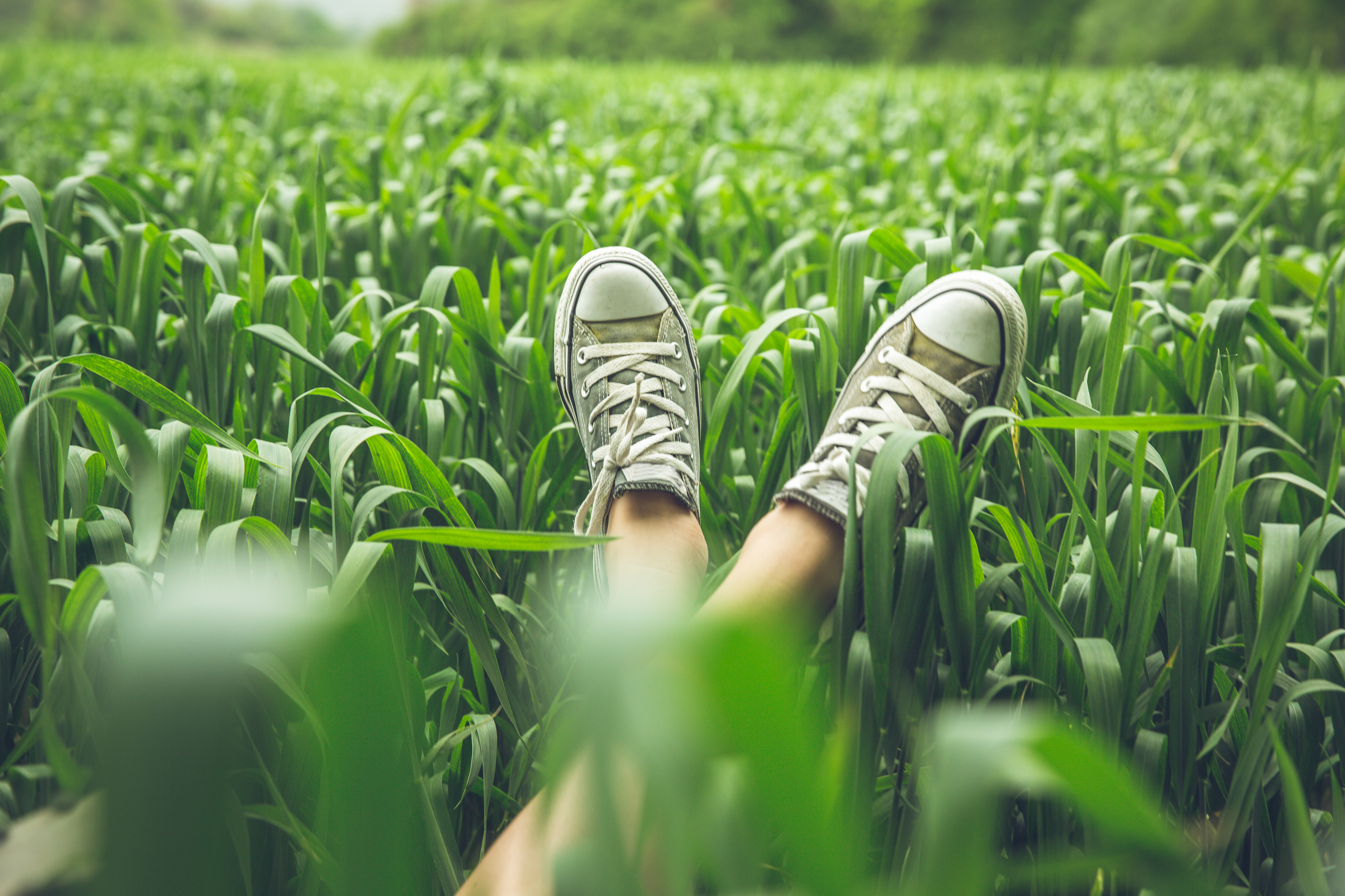 Close up of a person's feet crossed in a field of greenery