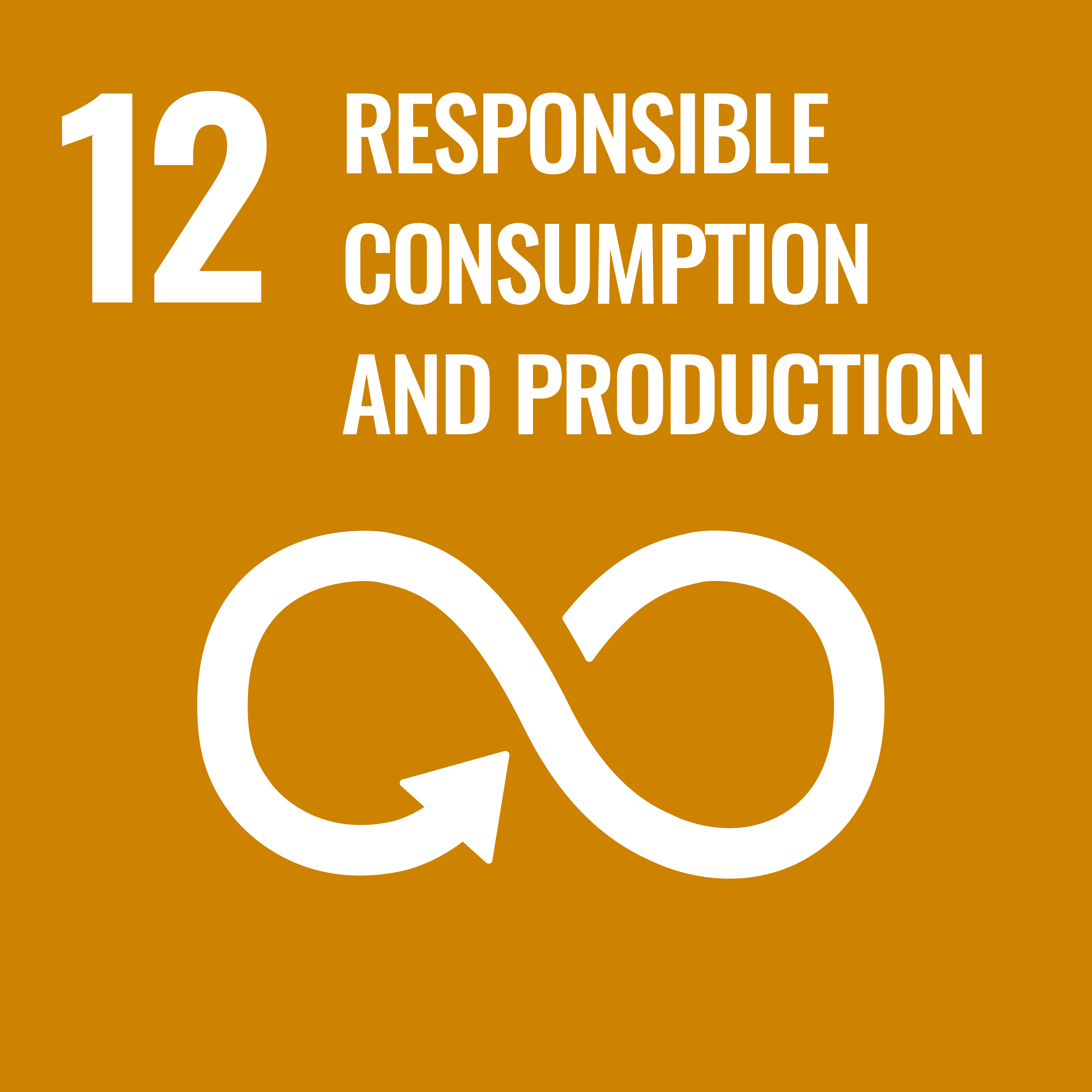 Sustainable Development Goal 12 Responsible Consumption and Production