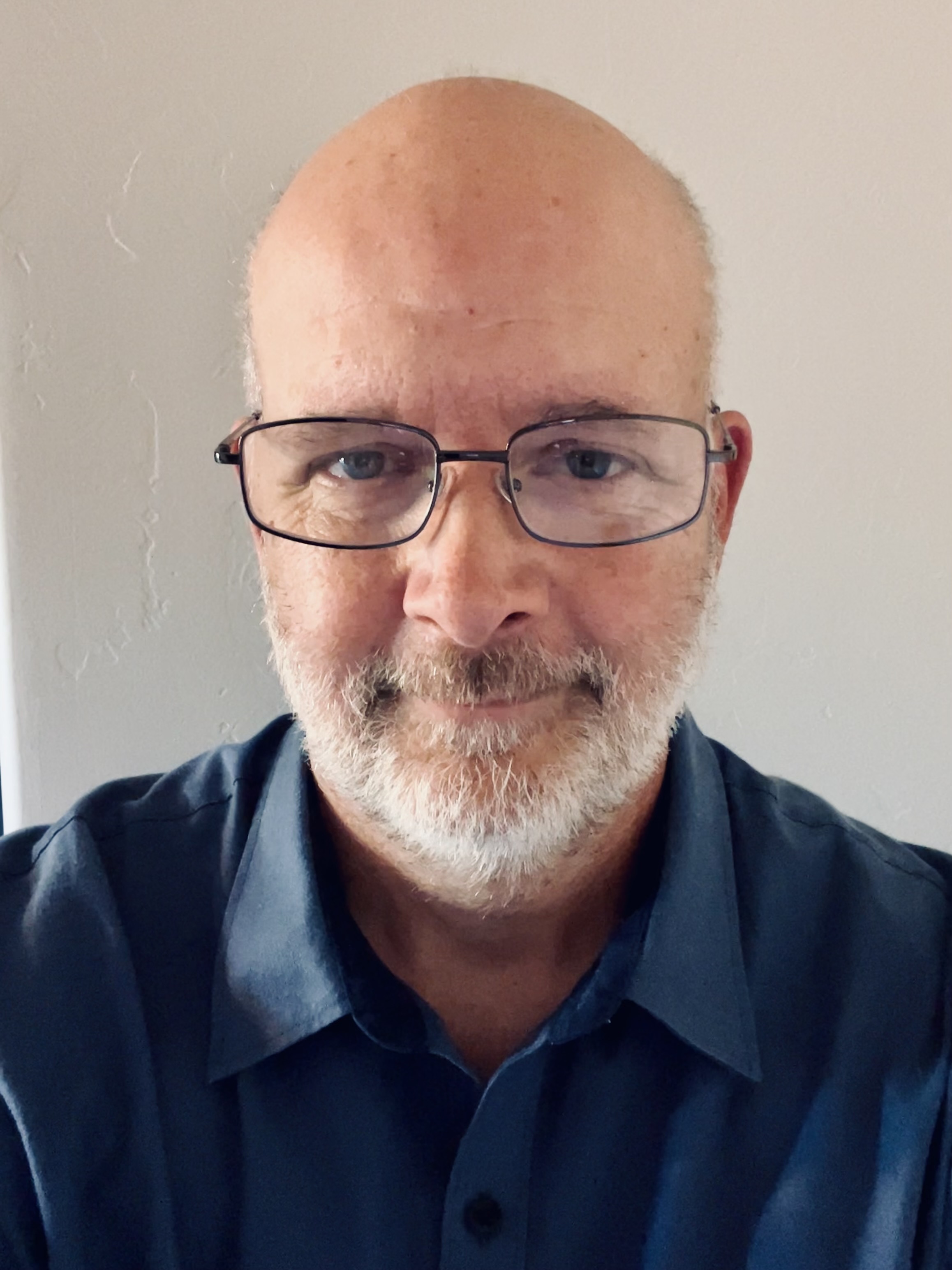Dan Belville, Bizzdesign