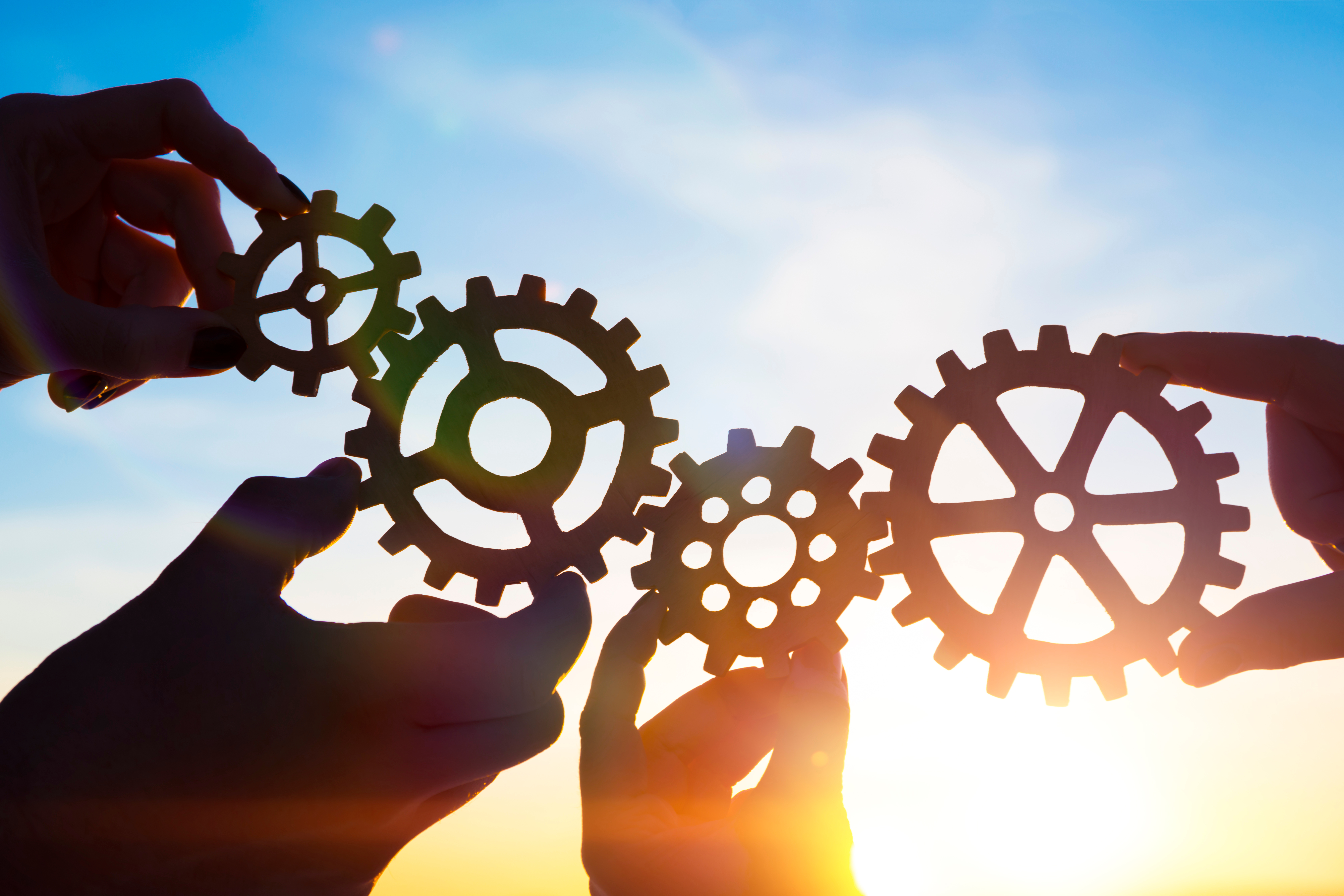 
Application Portfolio Management Software