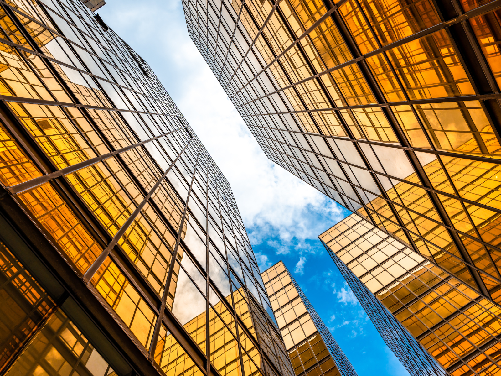 Agile Enterprise Architecture