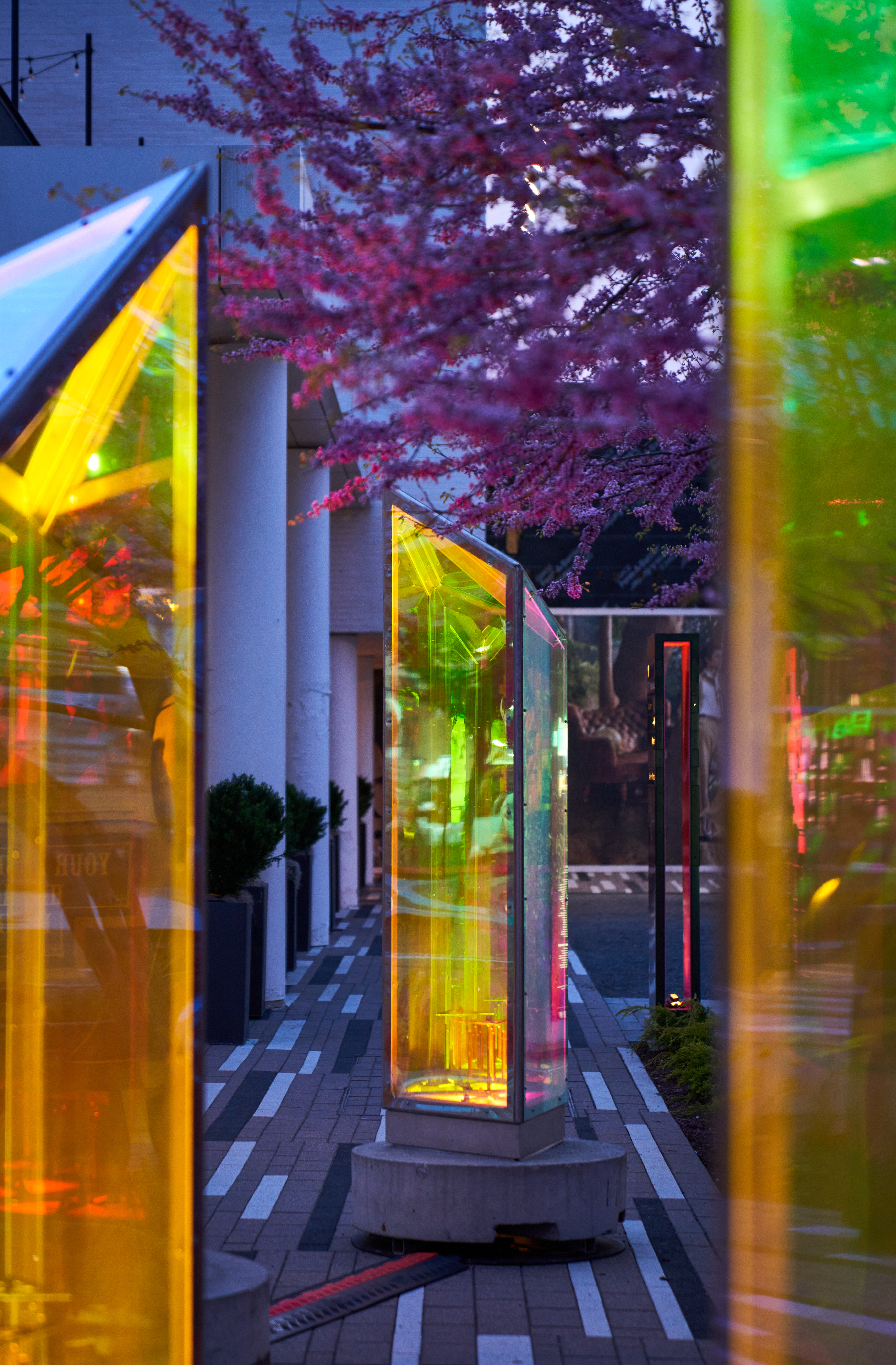 detail of Prismatica