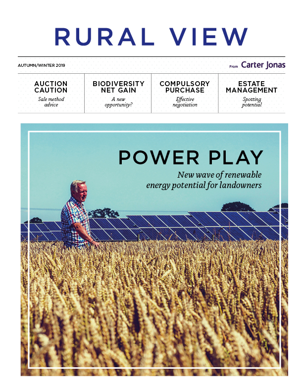 An image of the cover of RuRal View Autum/winter 2019