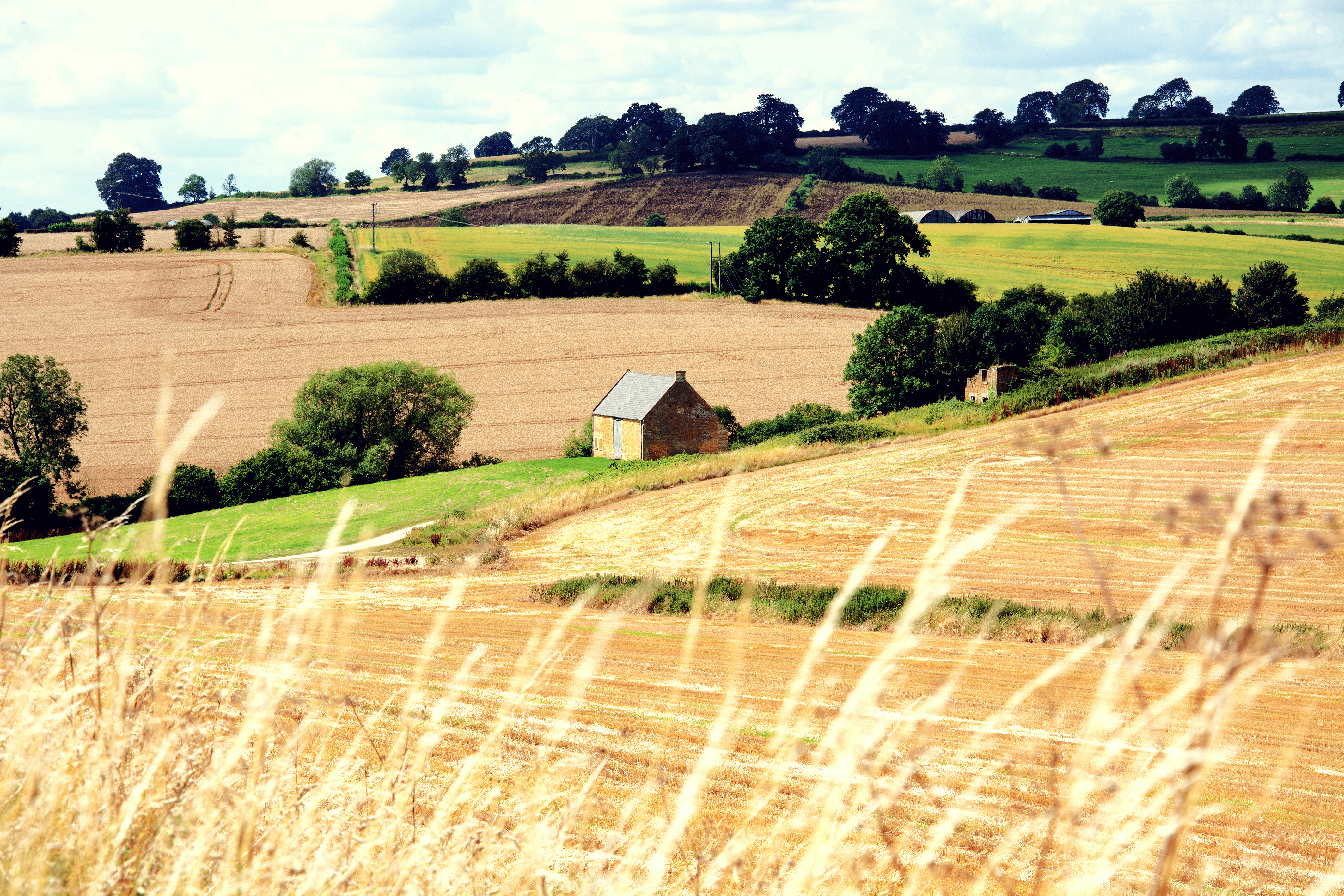 image of a rural scene on a summers day