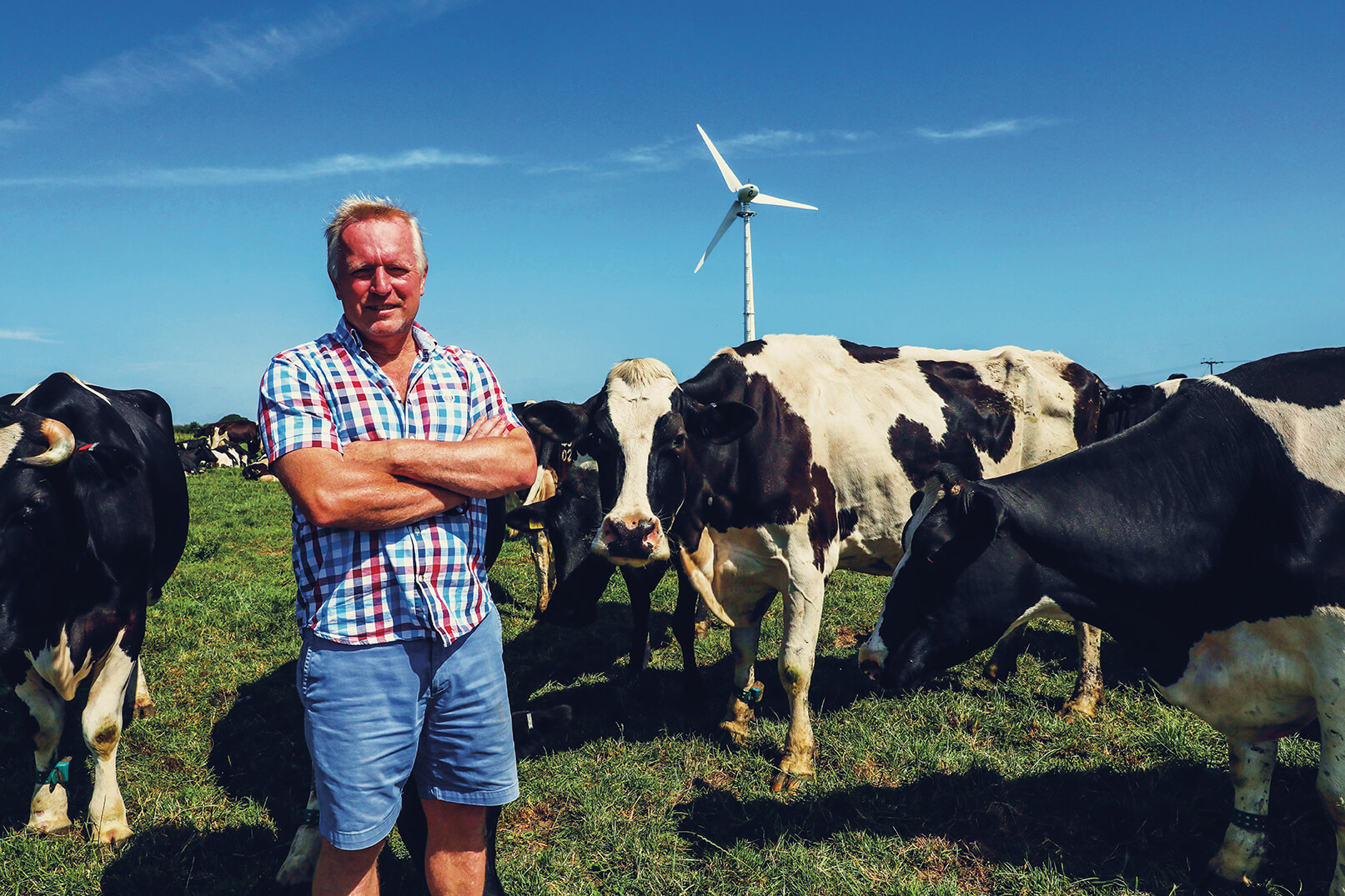 Farmer Chris Hobson stood in a field in front of a herd of cows and a wind turbine renewable energy