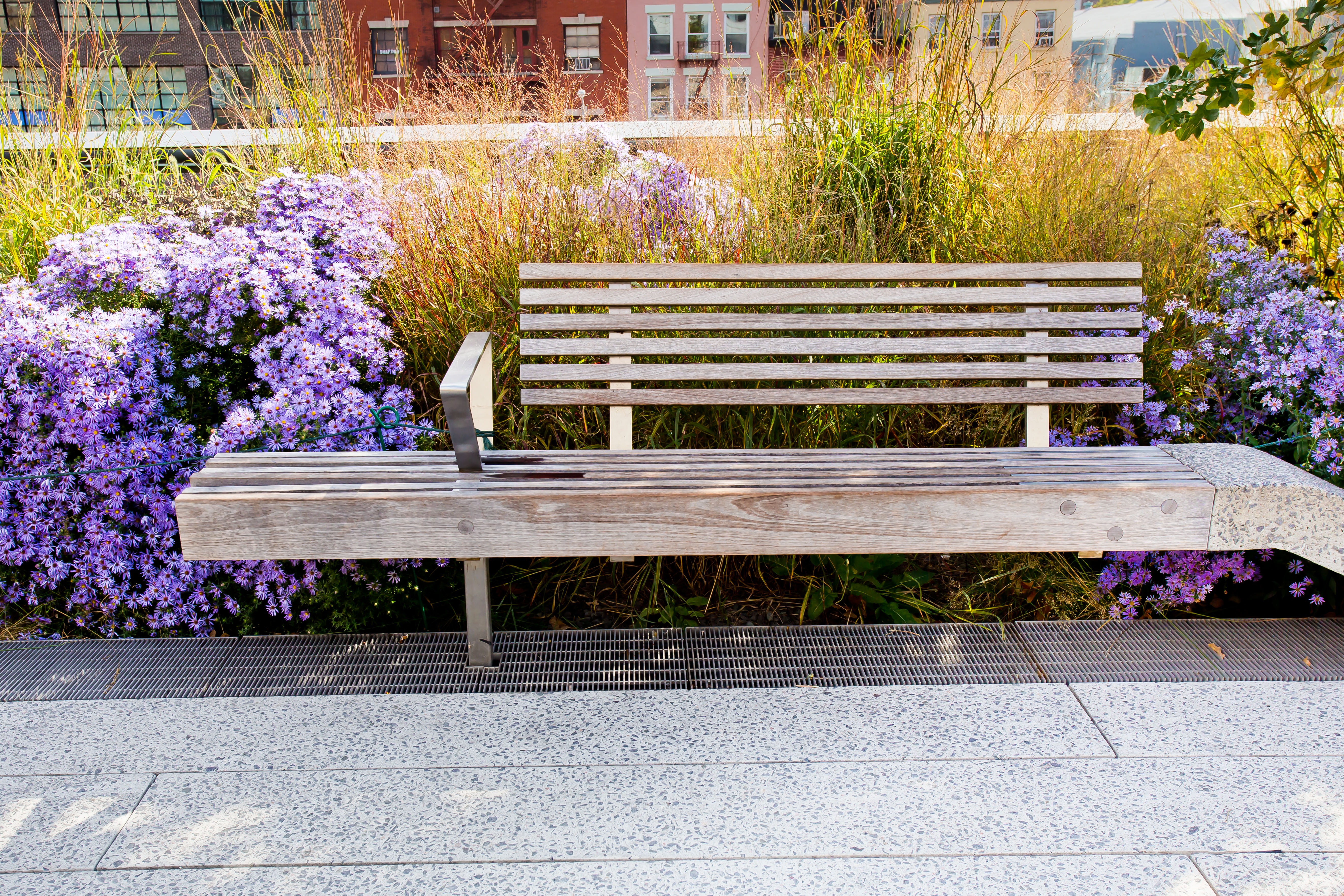 Wooden bench surrounded by tall grass and wildflowers from High Line Park 