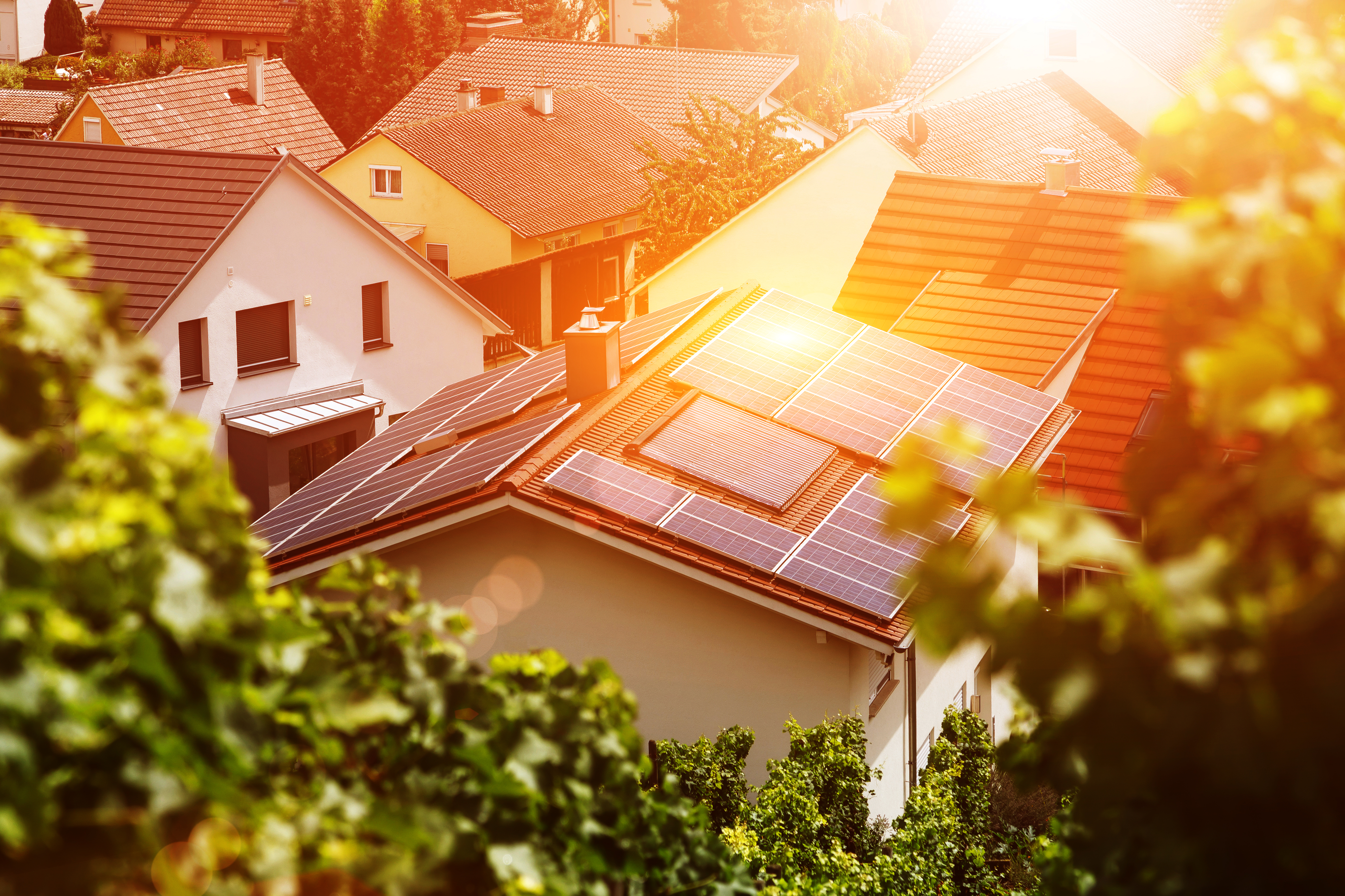 Solar panels on the tiled roof of the building in the sun. Top view through grape leaves. Image for illustration on energy, self-reliance, autonomy and security. Selective focus. Blur