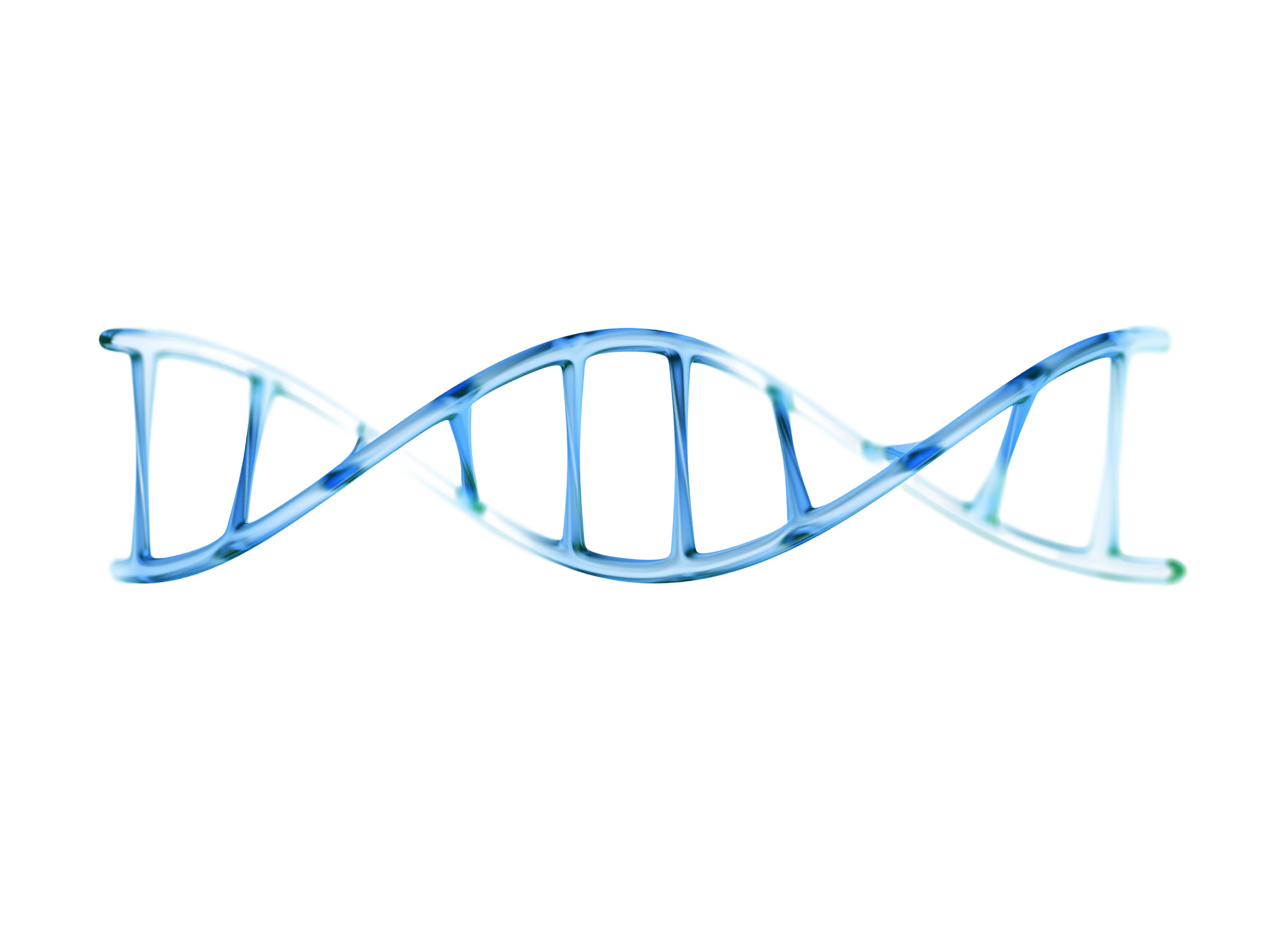 fragment of human DNA molecule, 3d illustration isolated on white background