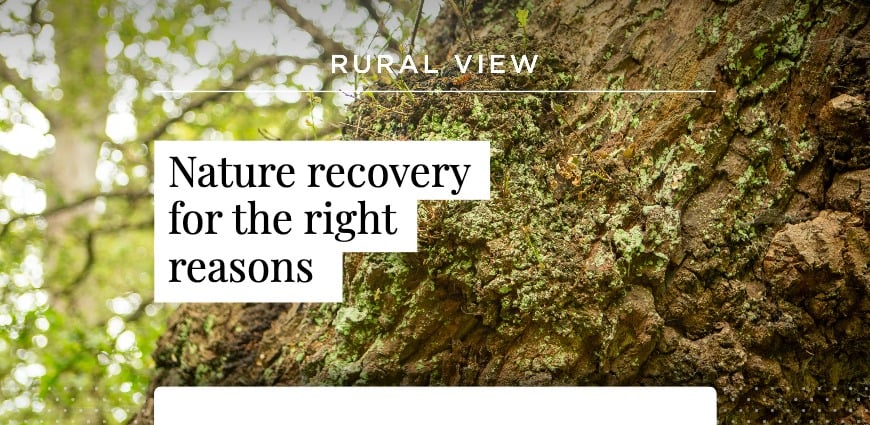 Rural view 2025 - The Crown Estate