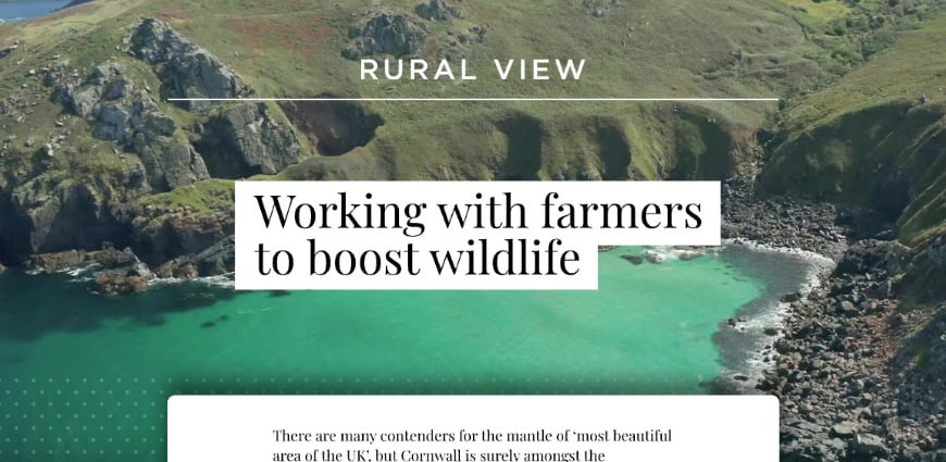 Rural view 2024 - Working with farmers to boost wildlife