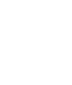 Outlined icon of a person with a visible brain, representing expertise, knowledge, and strategic thinking in professional services.