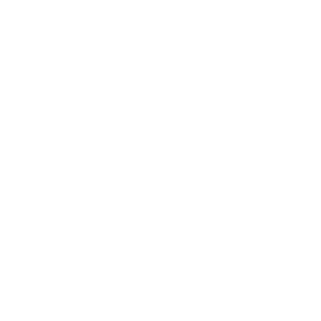 Bullseye icon with an arrow hitting the center, representing strategy, precision, and goal-oriented consulting services.