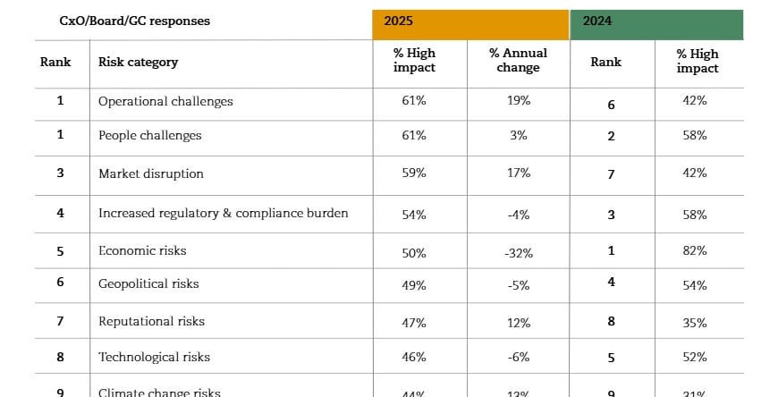 Risk Rankings (2025 v 2024)