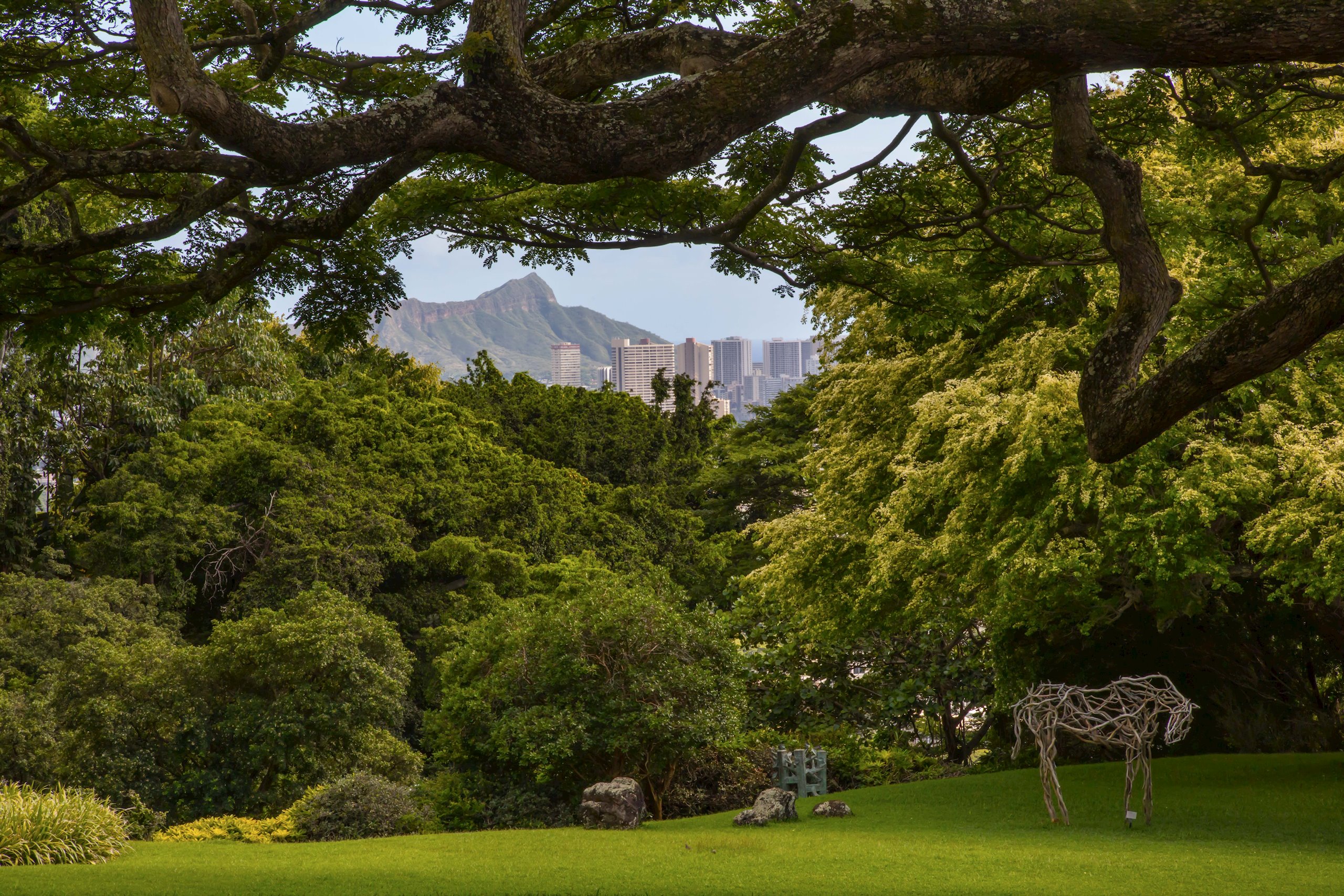 A lush green park with dense trees and a large, sprawling tree branch in the foreground, featuring a wireframe animal sculpture on the grass and city buildings with mountains in the background.