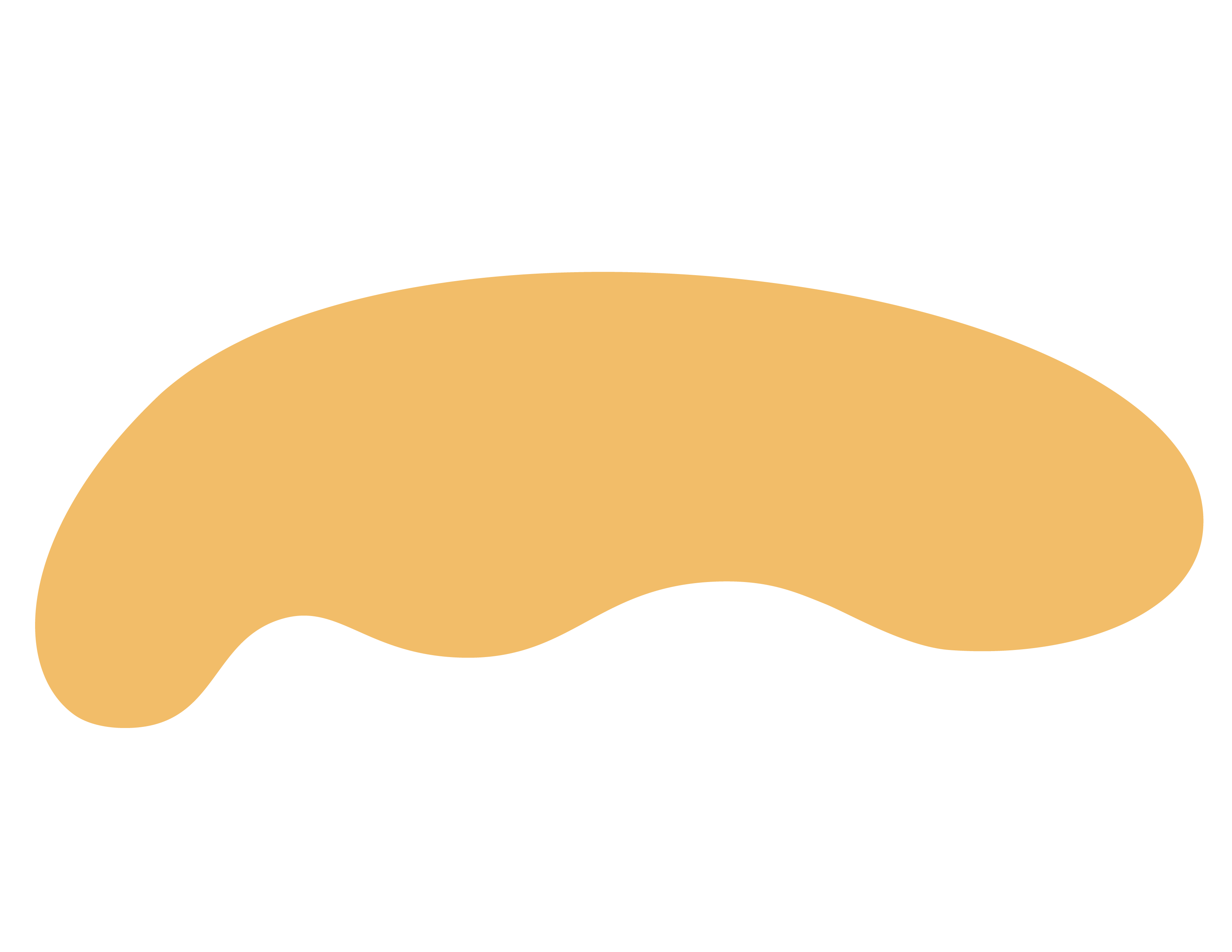 An orange oblong shape.