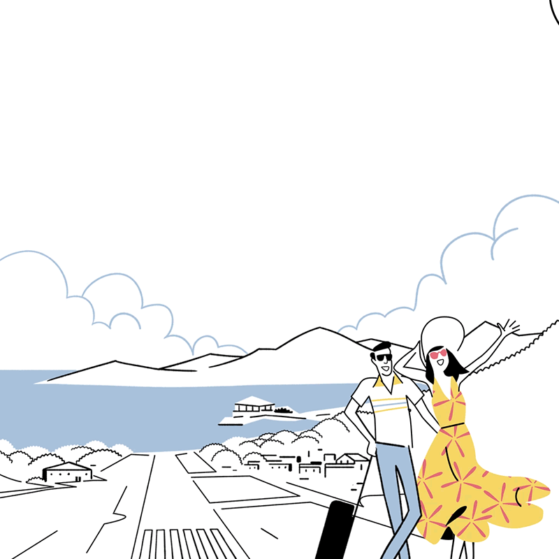 animation of a plane flying over a couple about to land