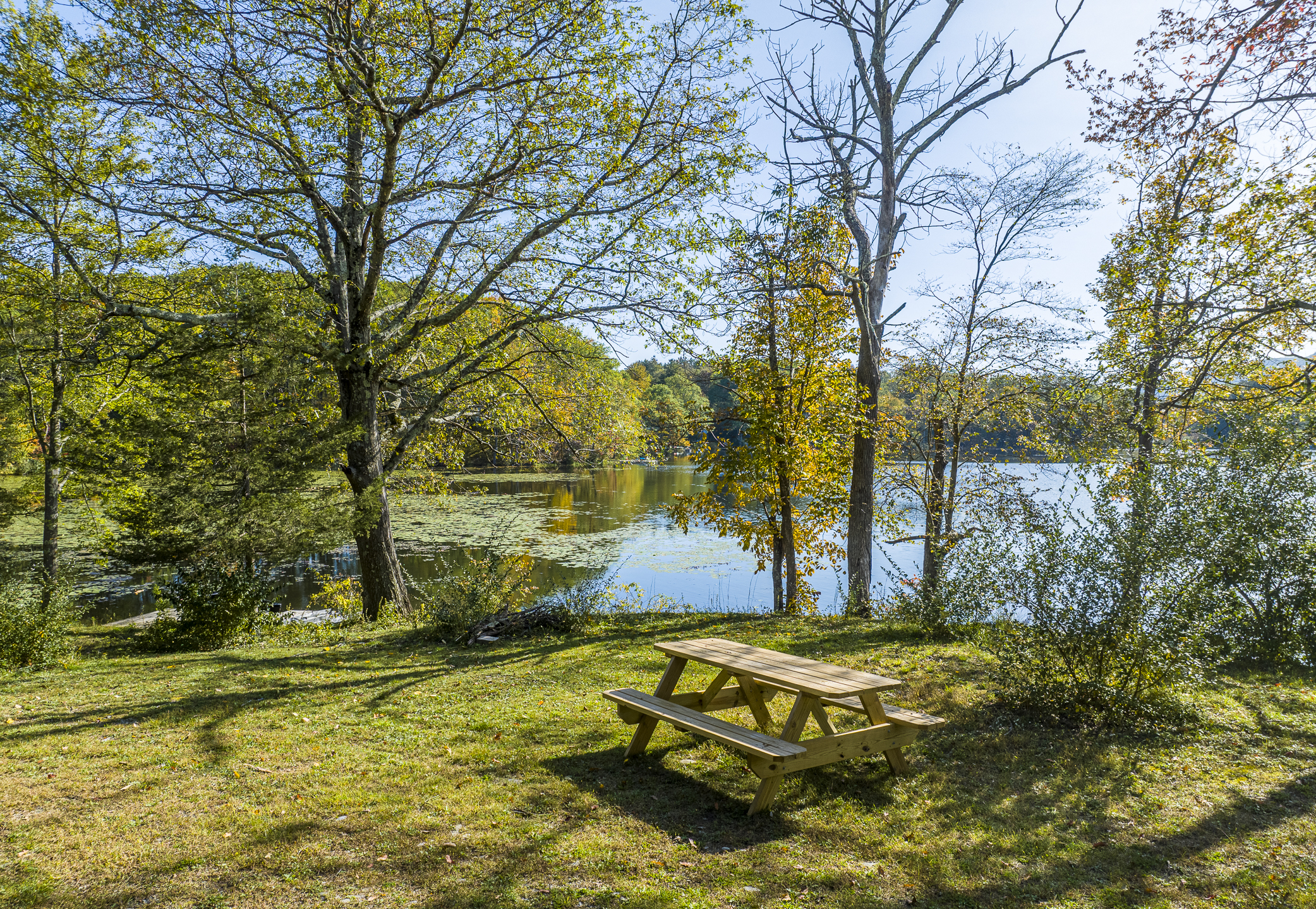 Serene lakeside scene with a small dock, a green kayak on the shore, surrounded by trees and greenery under a clear sunny sky.