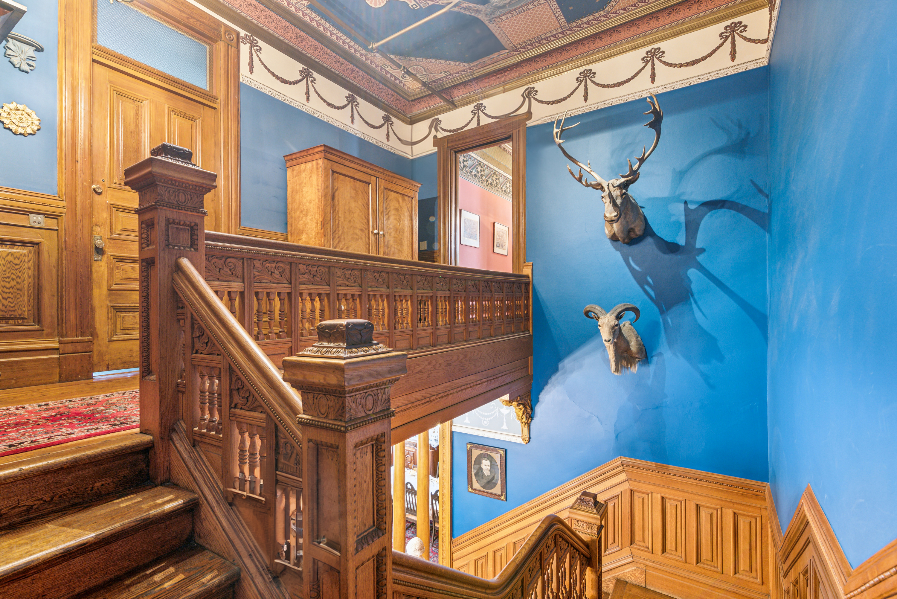 Stairwell in a Victorian house with bright blue walls and two mounted animal heads. 