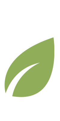 Green leaf tilted towards the right