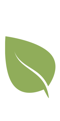 Green leaf tilted towards the left.