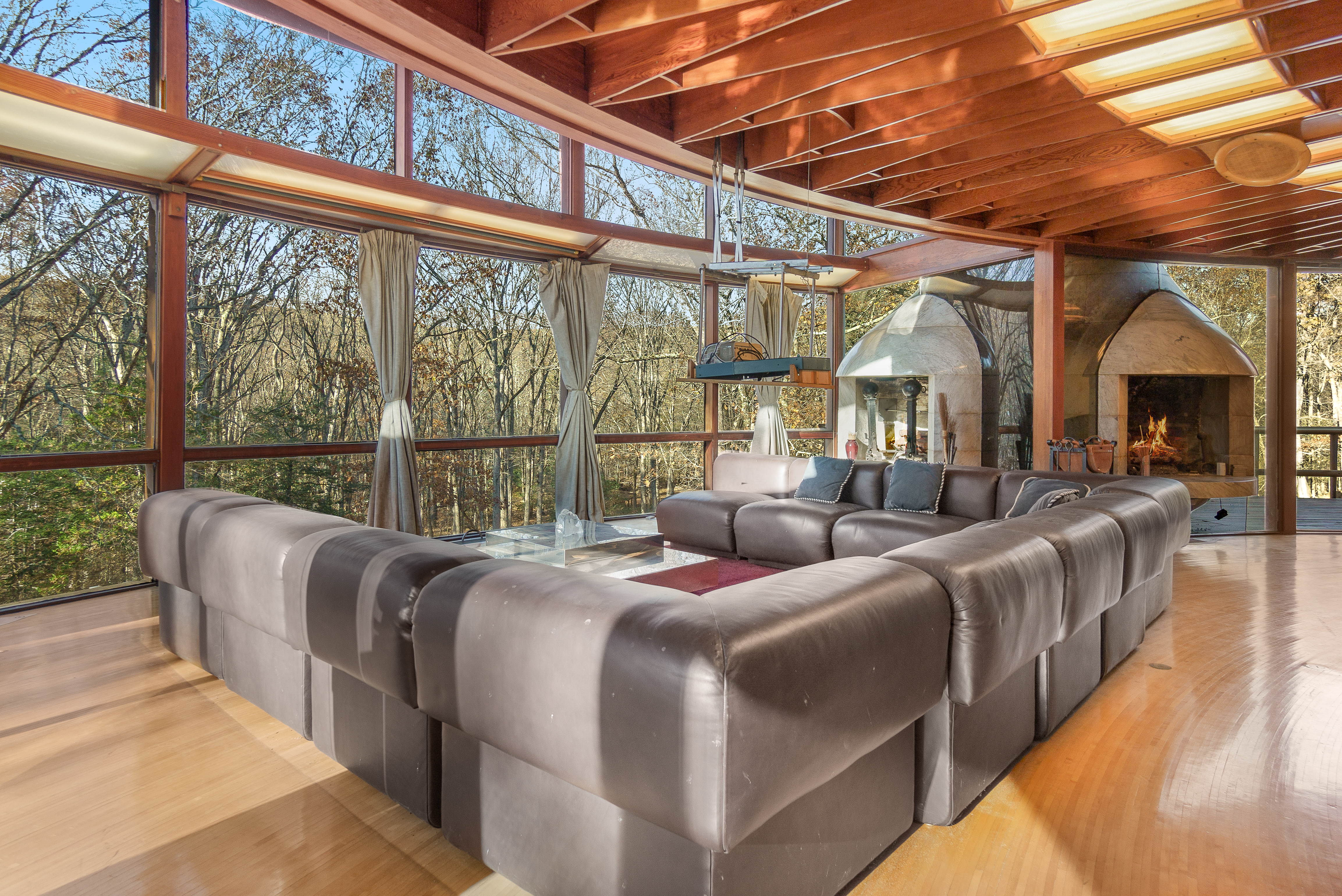 Backyard with a large pool, lounge chairs, and a gray house surrounded by greenery.