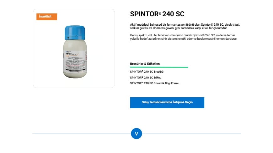 Spintor