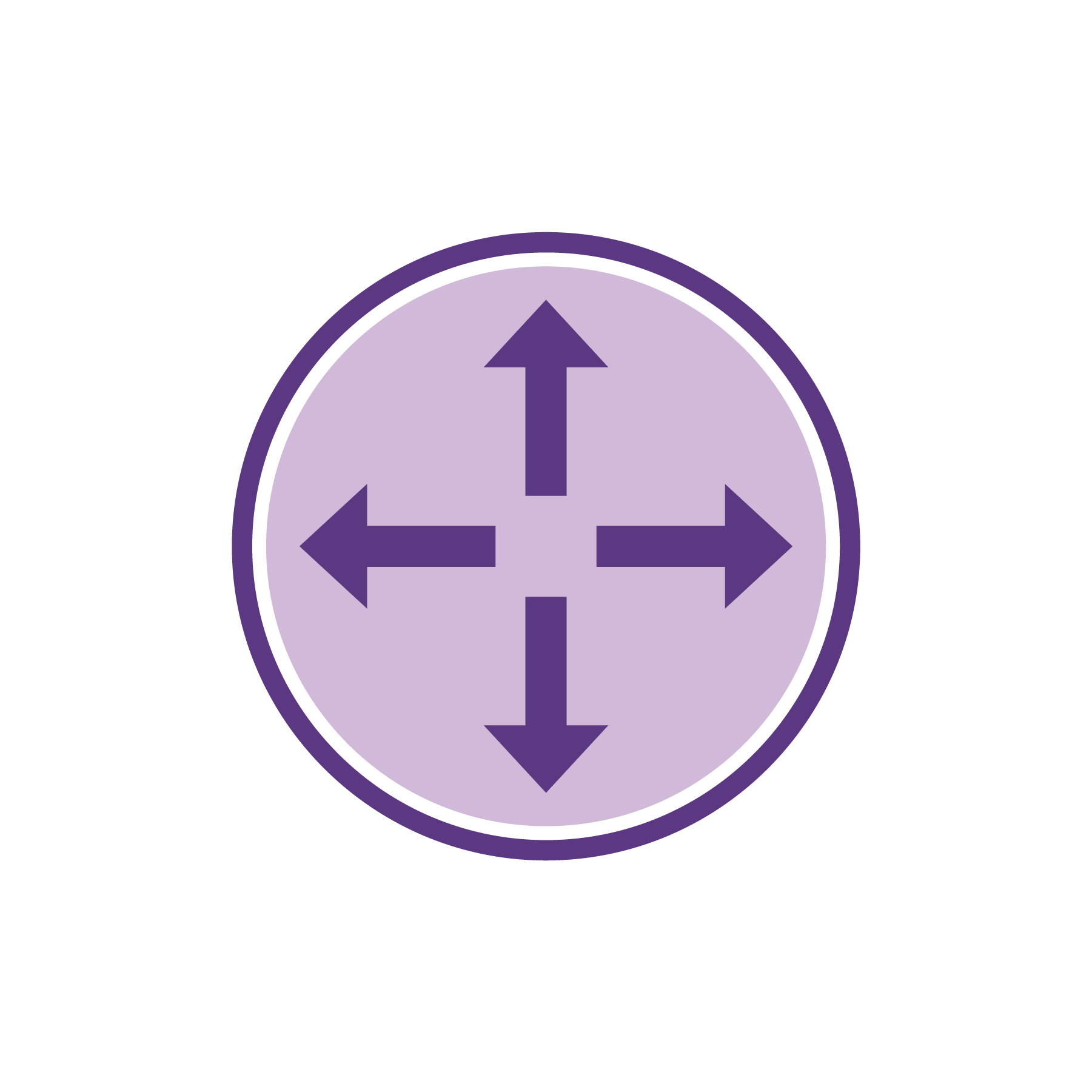 Arrows Scale Out Icon