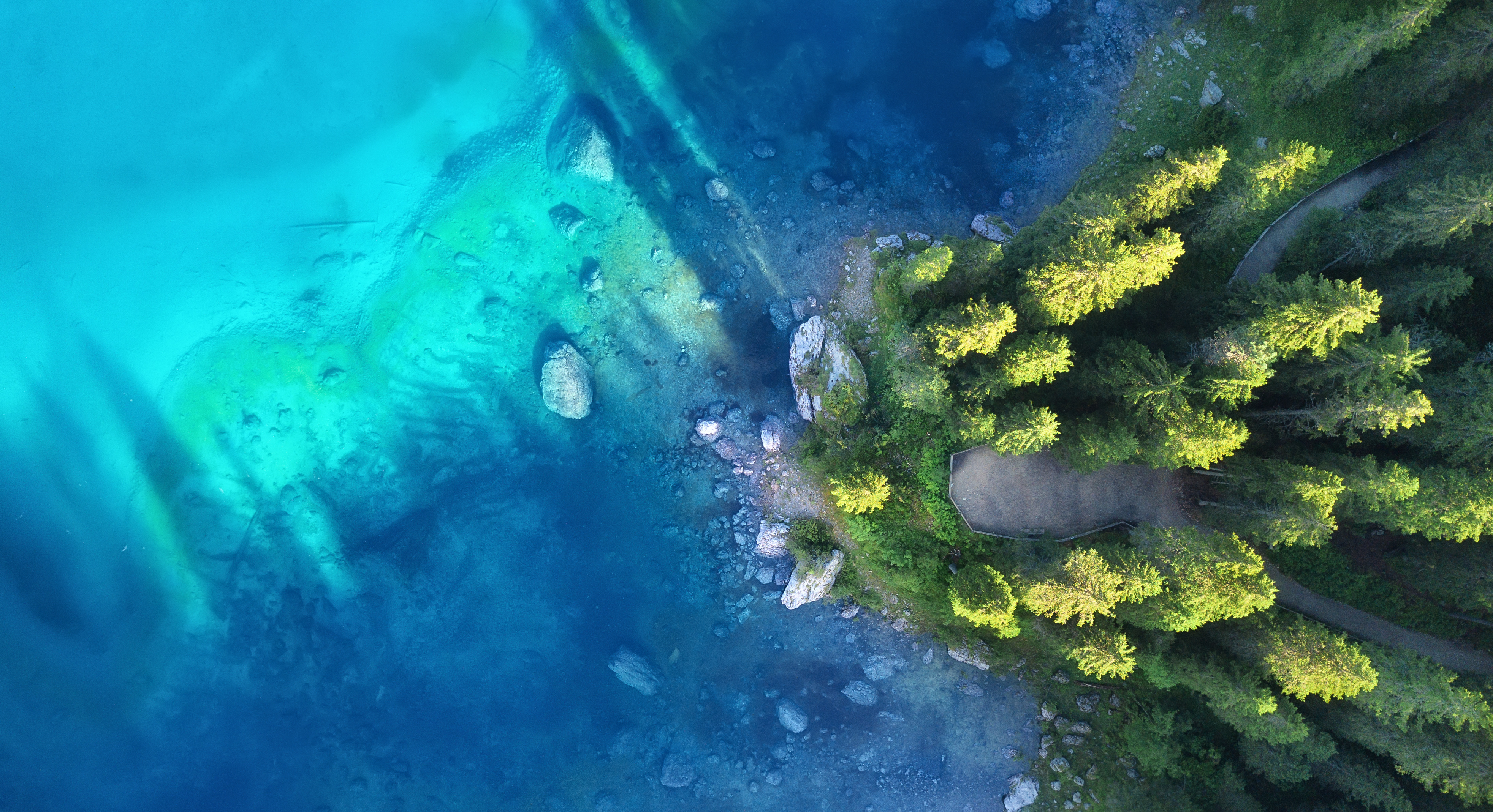 Aerial shot of water and trees