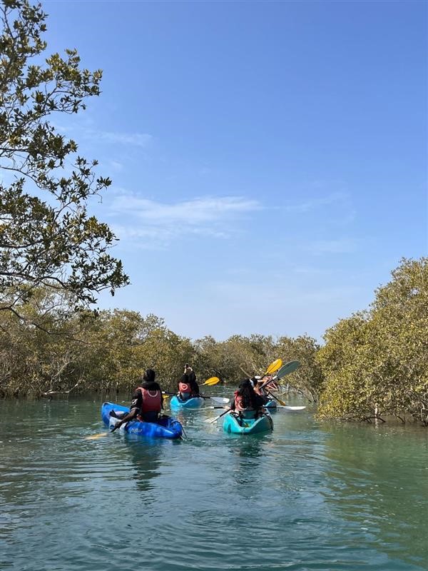 Team Canoeing on Mangrove swamp on a sunny day