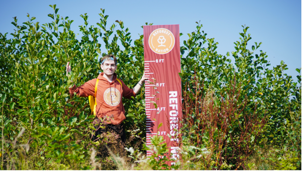 Volunteer amongst heavy tree growth