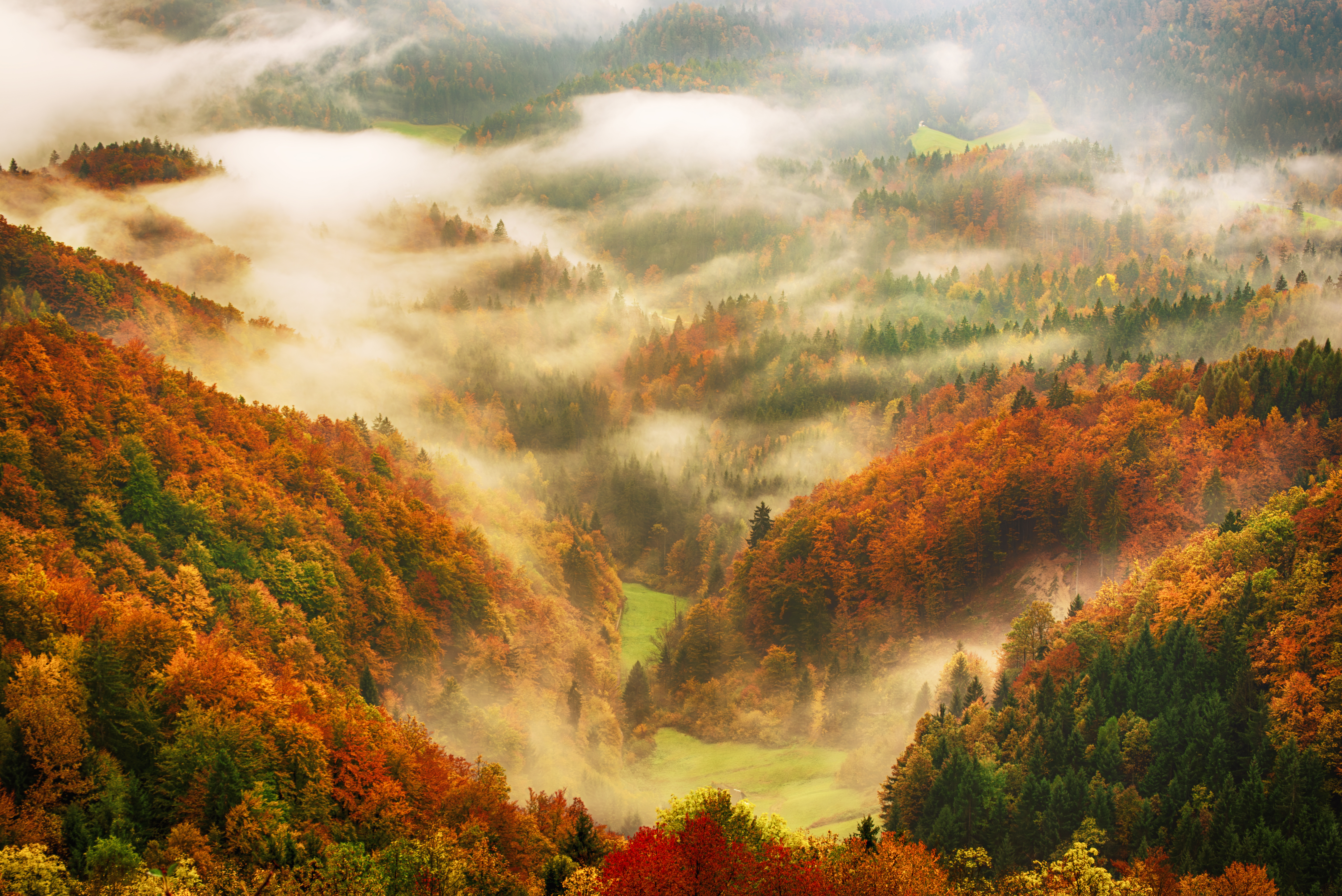 Image of a forest taken from height.  Possible in Autumn, with reds, golds and green leaves in the image with scattered patches of mist.