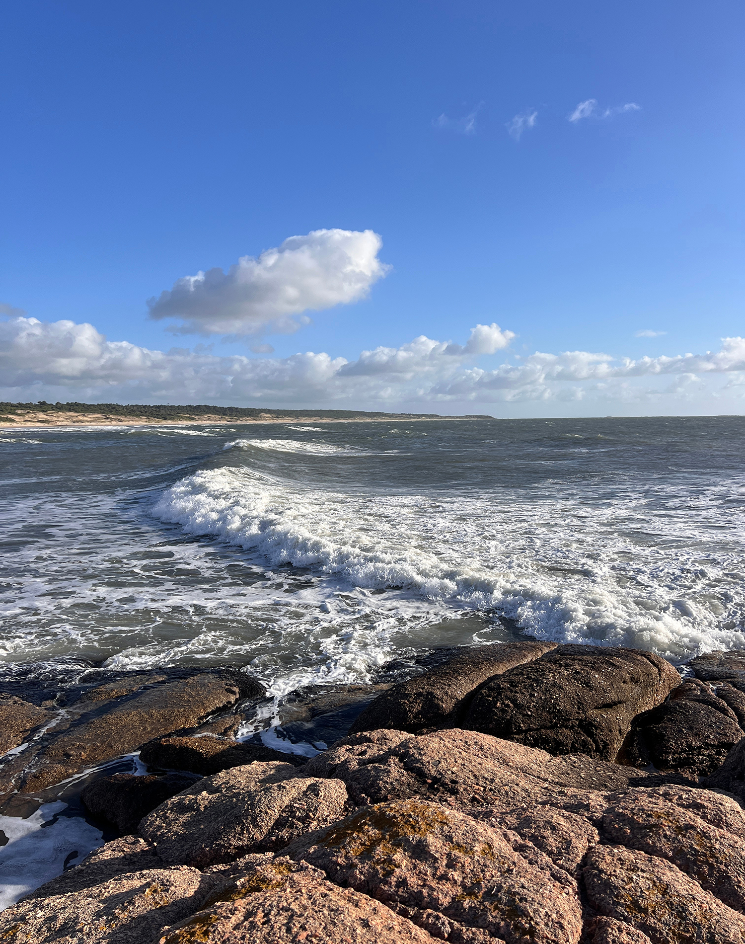 Sea view, waves coming into a beach