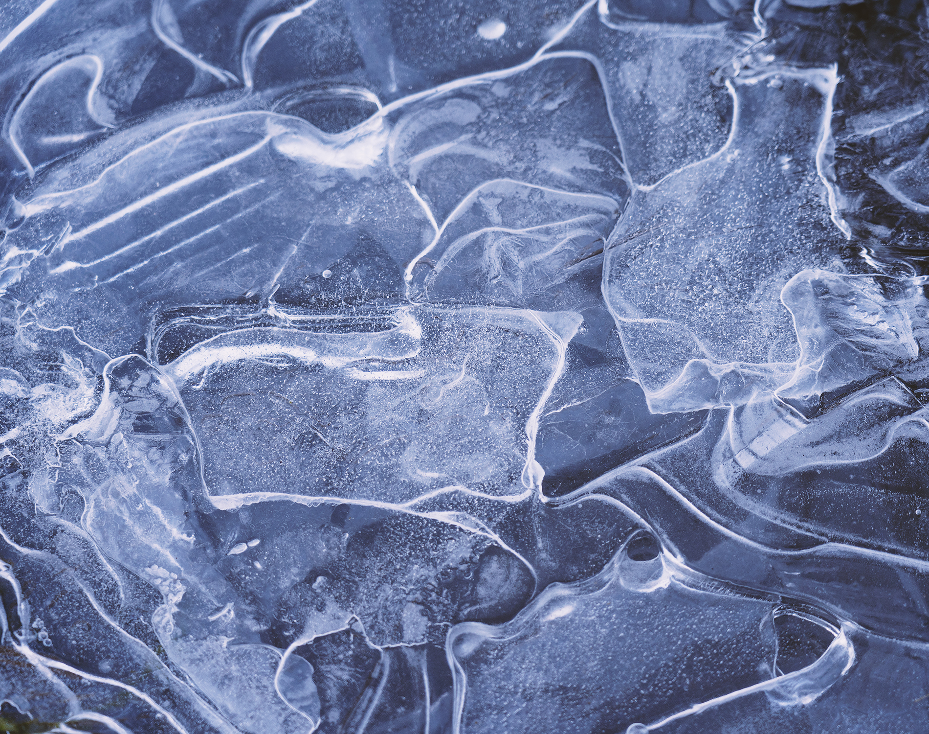 Abstract image of feathers