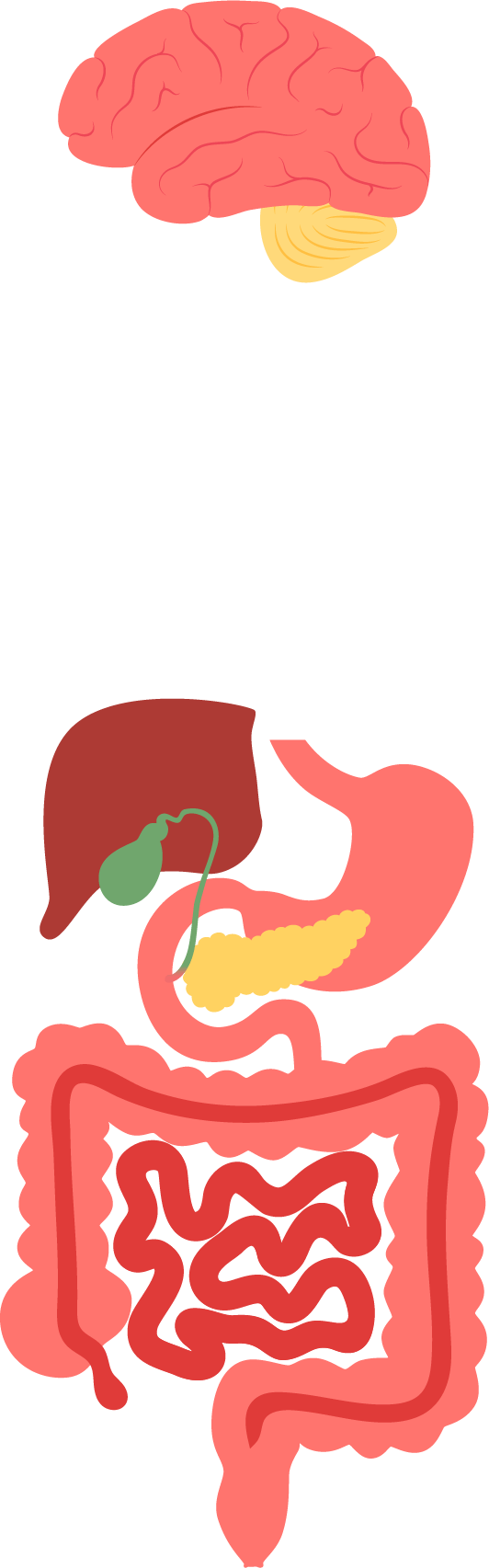 what supplements should you take with semaglutide Supplements to Take with Wegovy: Vitamins and Minerals