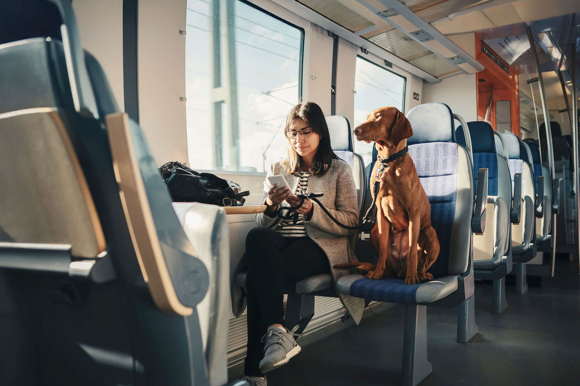 A young female passenger on a train using her smart phone while commuting with her dog
