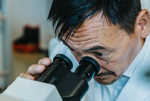 A scientist peering through the binoculars of a scientific microscope