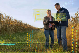 AI plant experts reviewing data in a cornfield