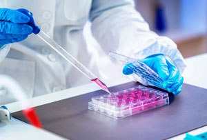 A close up shot of a chemist wearing blue latex gloves and a white lab coat working in a laboratory