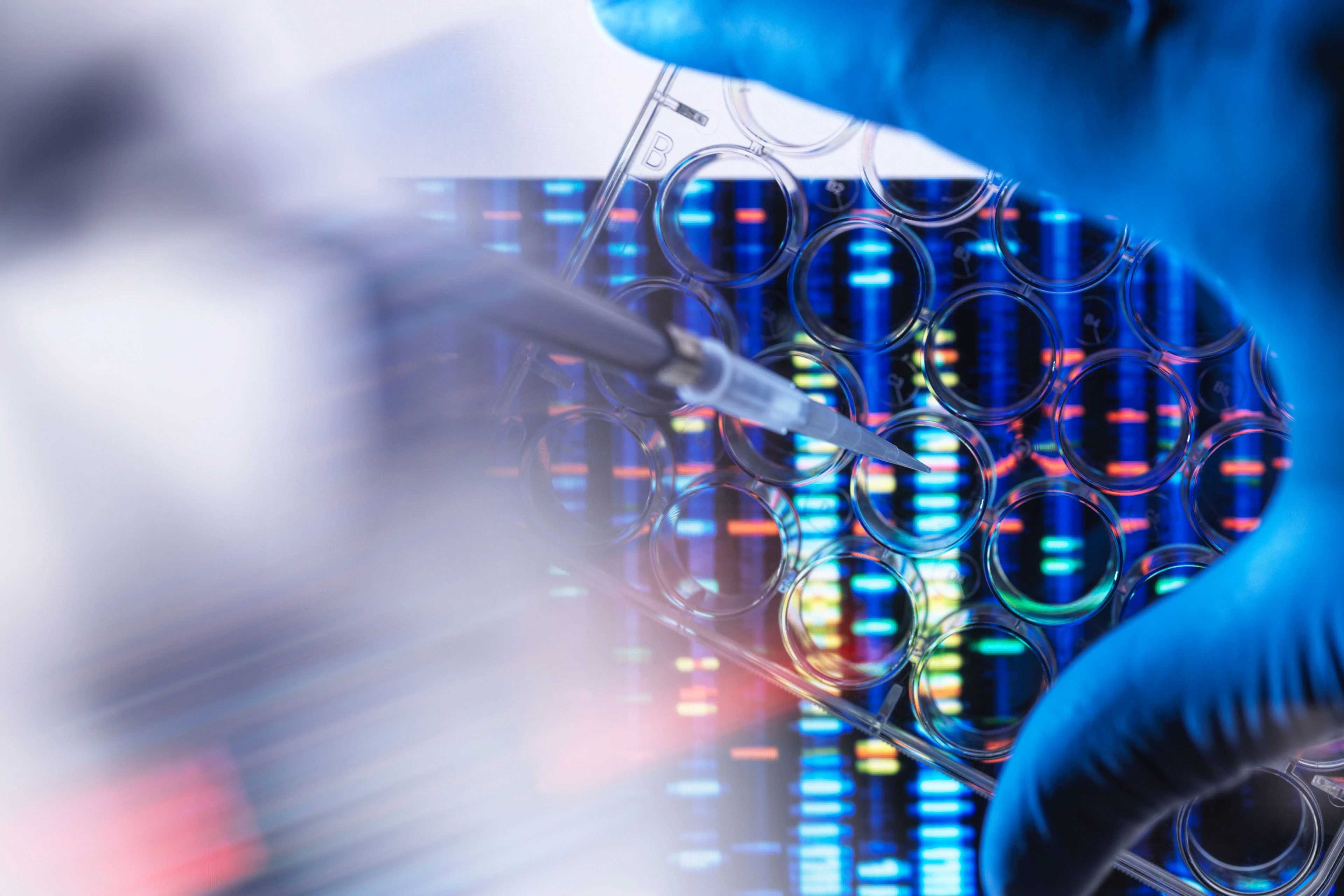 Close up of a scientist's hands pipetting a sample into a multi well plate for dna analysis