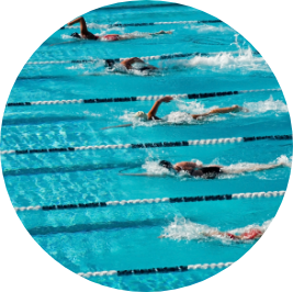Image of professional swimmers competing in a swim race