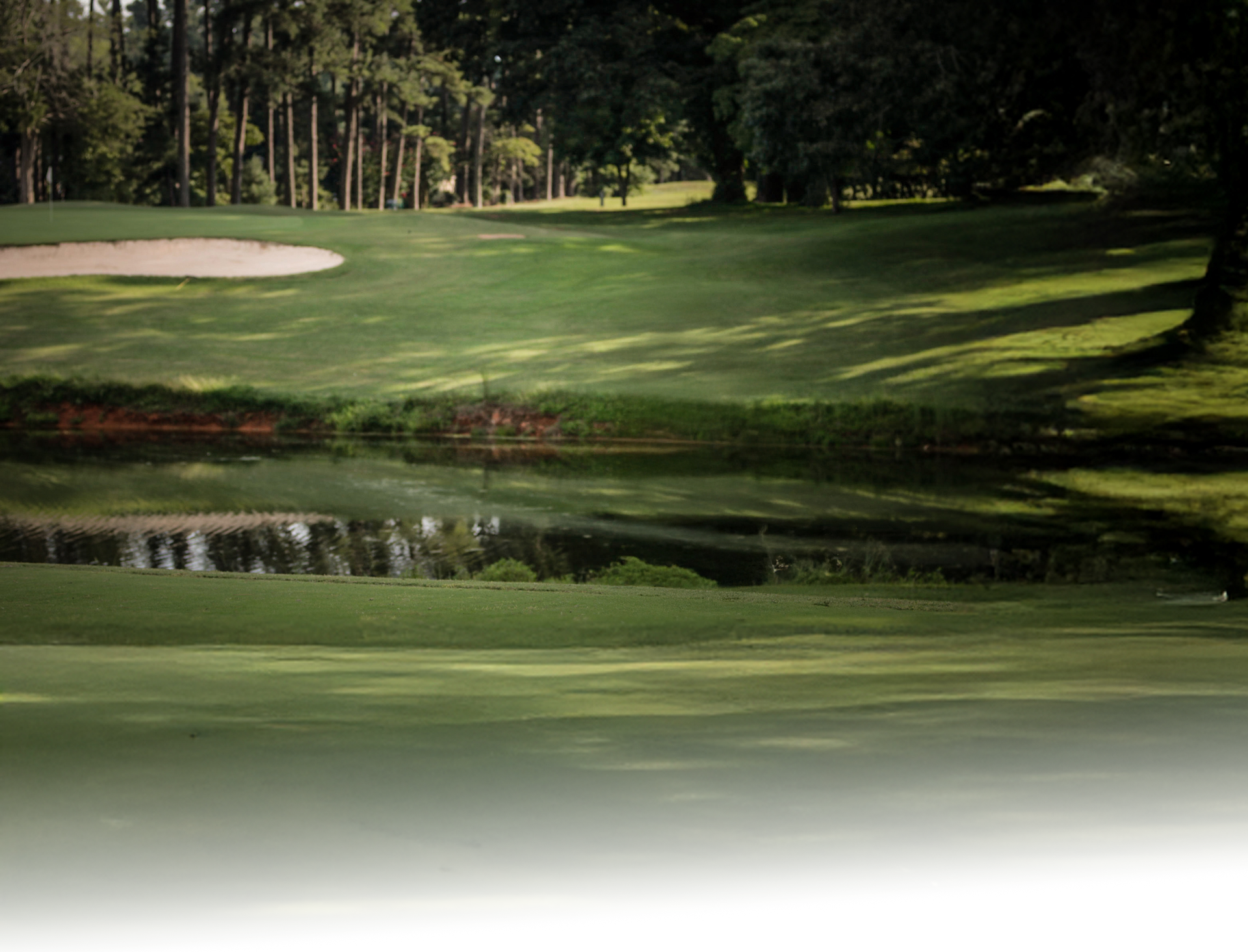 Close up shot of a white gloved golfer's hand around a golf ball and tee while placing it onto the green