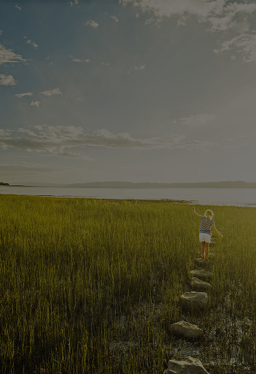 image of lush green countryside with a lake in the background