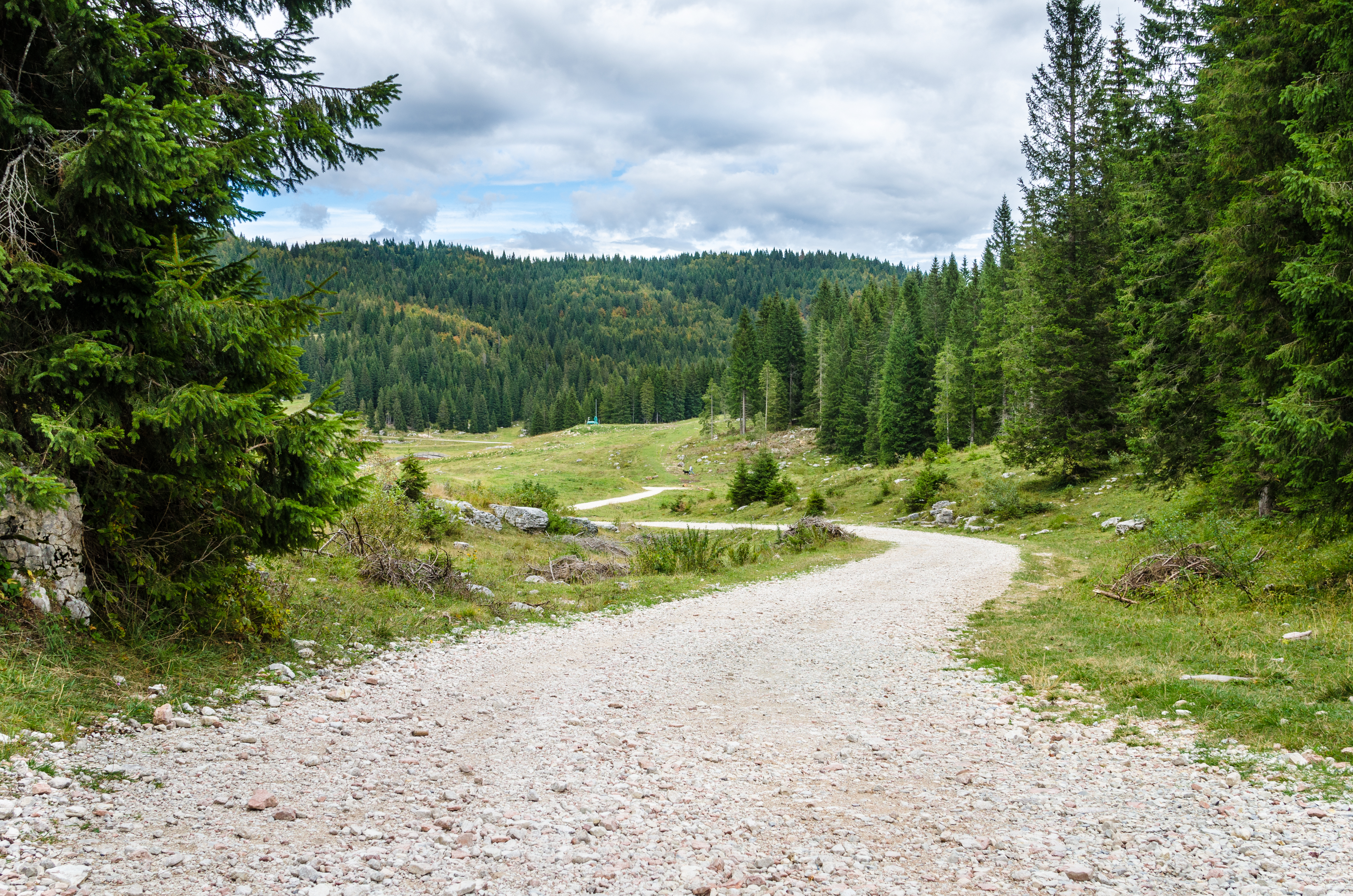 Unpaved Winding Mountain Road Through A Forest on a Cloudy Day