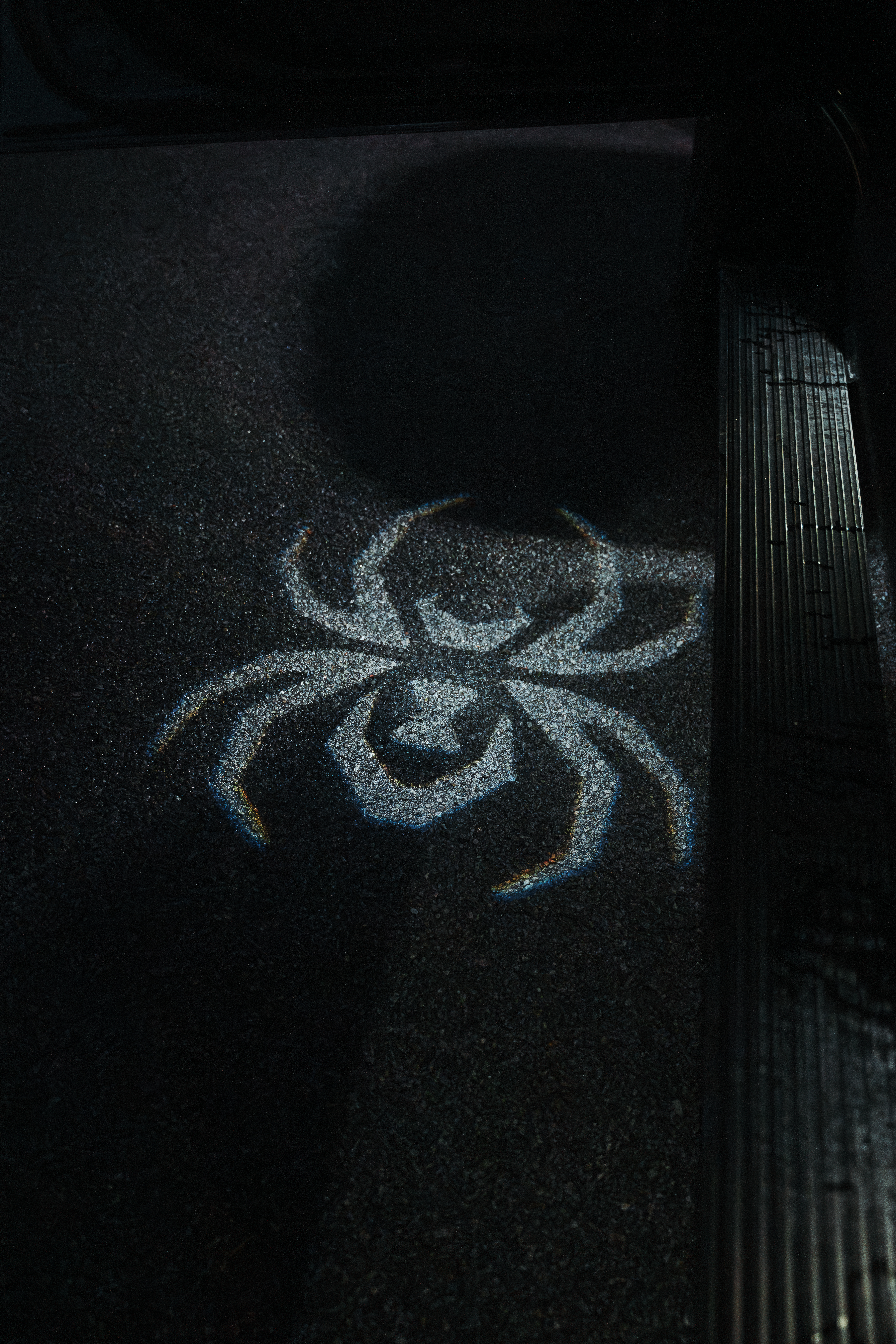 black widow spider logo puddle light shining on pavement