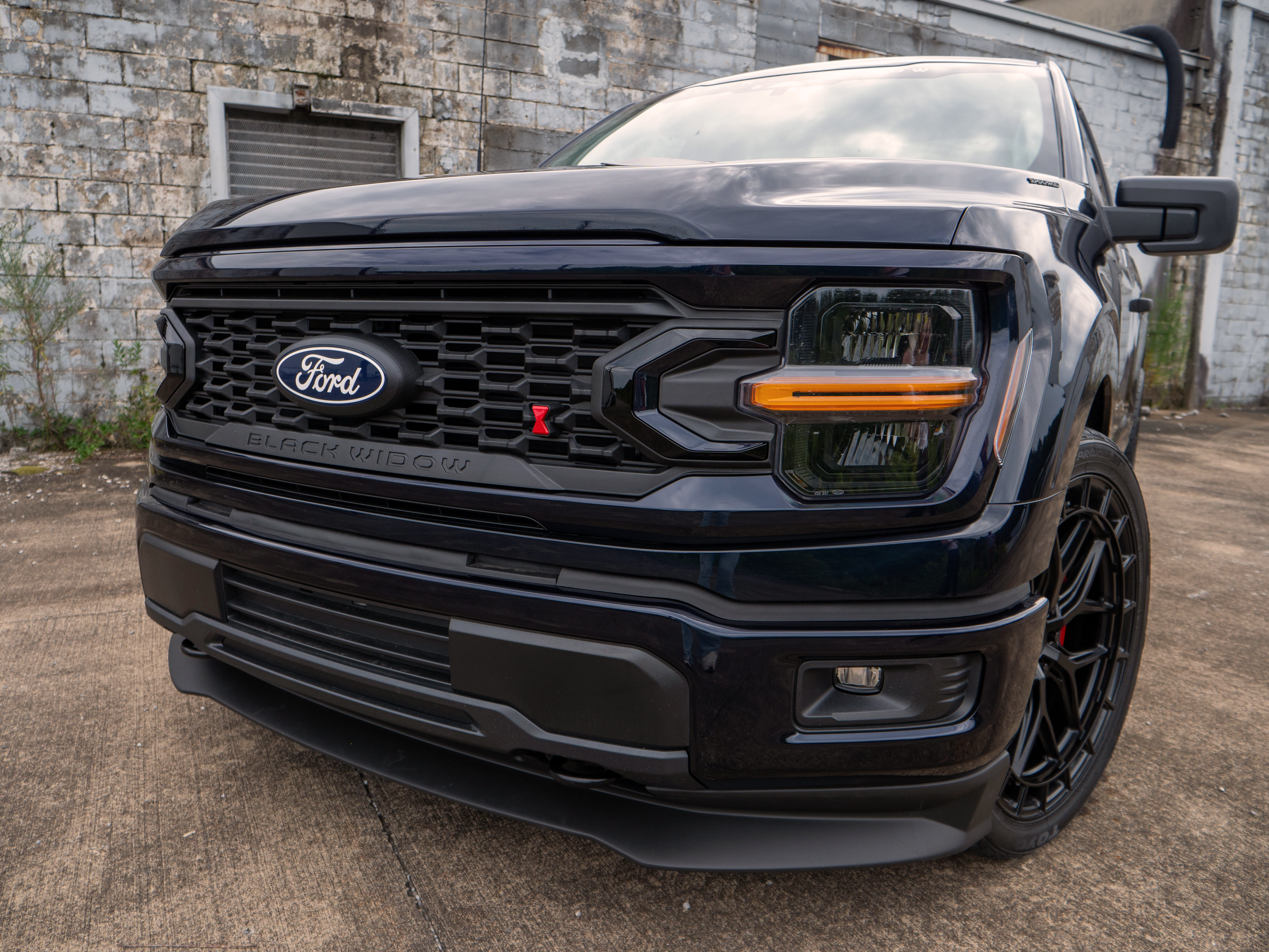 Black Widow F150 Grille