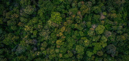 Solar Power Plant in modern city in sunset,Sustainable Renewable Energy