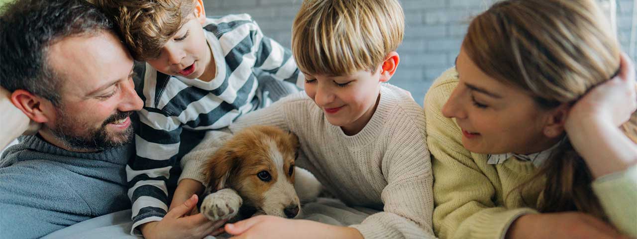 Young happy family playing with puppy.