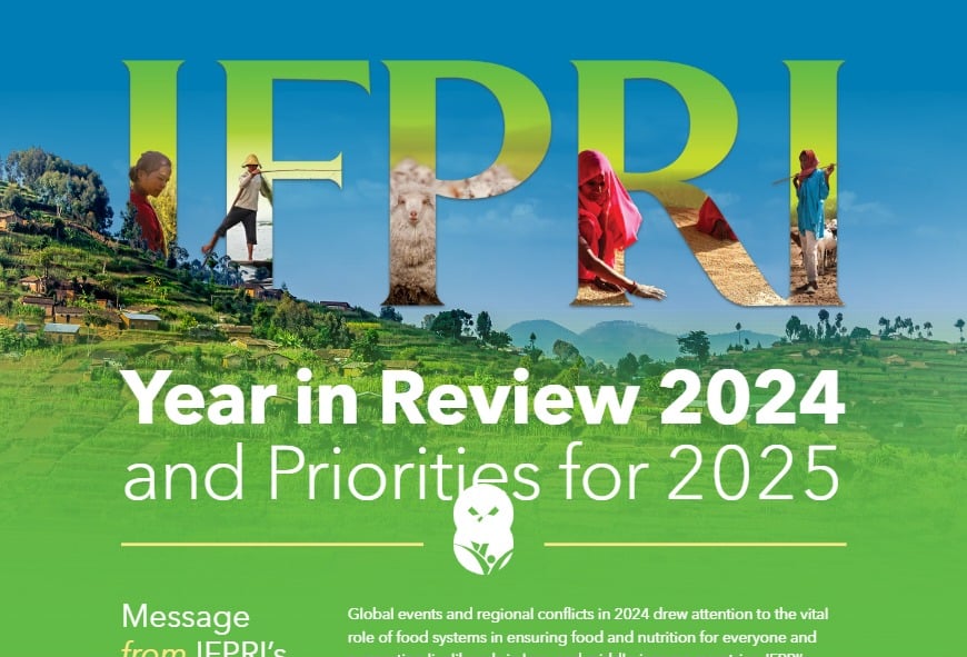 IFPRI Year in Review 2024 and Priorities for 2025