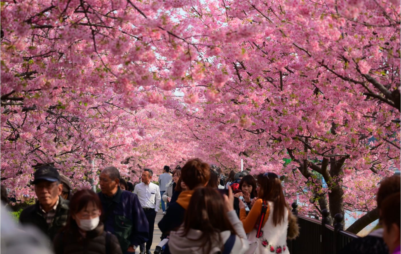 Opening image chapter 6